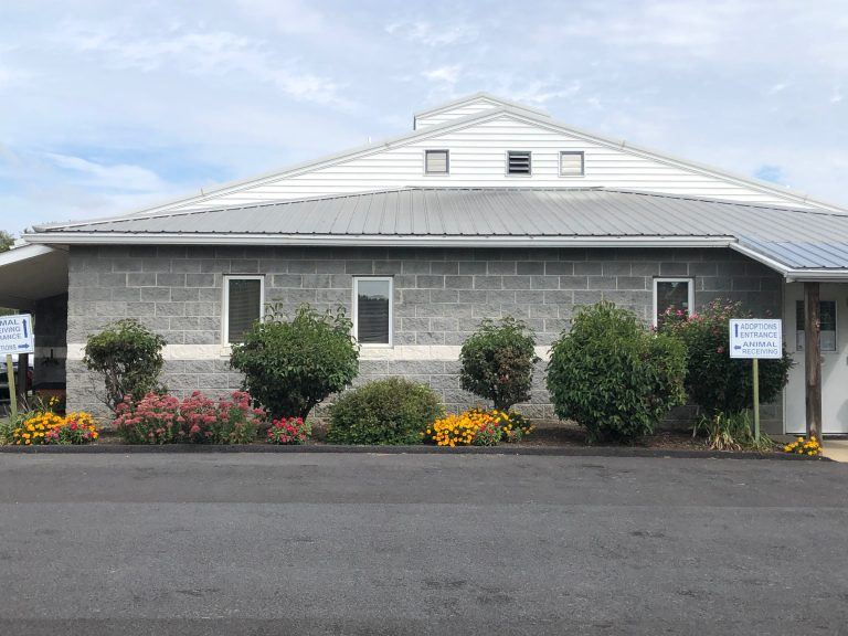 Flowers in Front of Animal Shelter