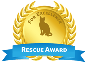 Rescue Award