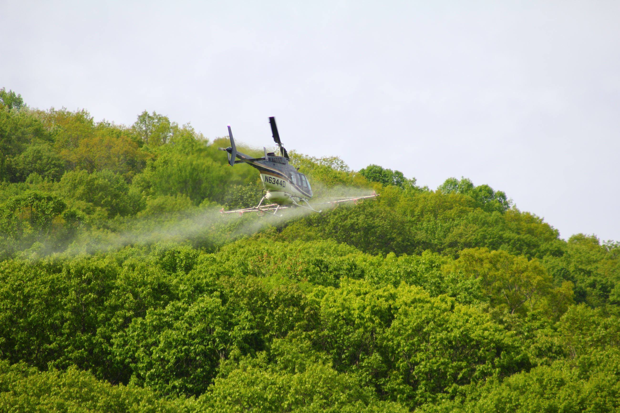 Image of Specialized Helicopter  Spraying Against Spongy Moths